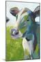 Painterly Cow III-Grace Popp-Mounted Art Print