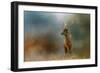 Painterly Fallow Buck-Jai Johnson-Framed Giclee Print