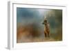 Painterly Fallow Buck-Jai Johnson-Framed Giclee Print