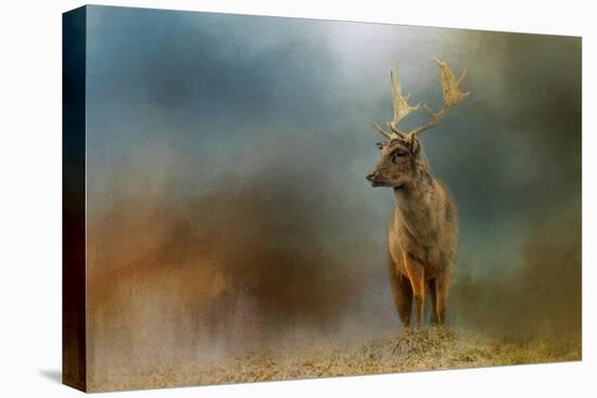 Painterly Fallow Buck-Jai Johnson-Stretched Canvas