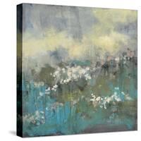 Painterly Field II-Jennifer Goldberger-Stretched Canvas