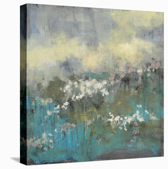 Painterly Field II-Jennifer Goldberger-Stretched Canvas