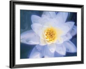 Painterly Flower III-Lola Henry-Framed Photographic Print