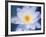 Painterly Flower III-Lola Henry-Framed Photographic Print