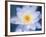 Painterly Flower III-Lola Henry-Framed Photographic Print