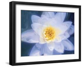 Painterly Flower III-Lola Henry-Framed Photographic Print