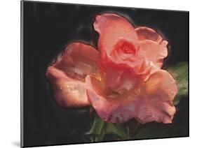 Painterly Flower IV-Lola Henry-Mounted Photographic Print