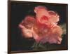 Painterly Flower IV-Lola Henry-Framed Photographic Print