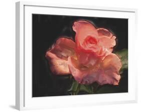 Painterly Flower IV-Lola Henry-Framed Photographic Print