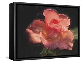 Painterly Flower IV-Lola Henry-Framed Stretched Canvas