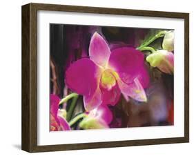 Painterly Flower V-Lola Henry-Framed Photographic Print