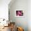 Painterly Flower V-Lola Henry-Framed Photographic Print displayed on a wall