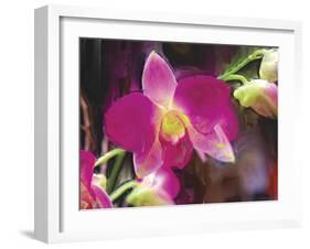 Painterly Flower V-Lola Henry-Framed Photographic Print