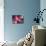 Painterly Flower V-Lola Henry-Mounted Photographic Print displayed on a wall