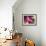 Painterly Flower V-Lola Henry-Framed Photographic Print displayed on a wall