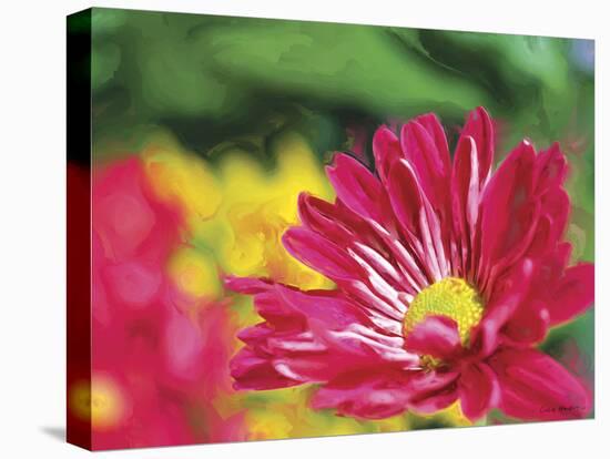 Painterly Flower VI-Lola Henry-Stretched Canvas