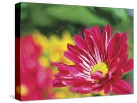 Painterly Flower VI-Lola Henry-Stretched Canvas
