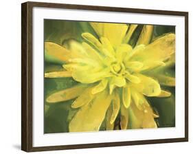 Painterly Flower VII-Lola Henry-Framed Photographic Print