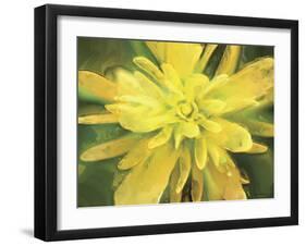 Painterly Flower VII-Lola Henry-Framed Photographic Print