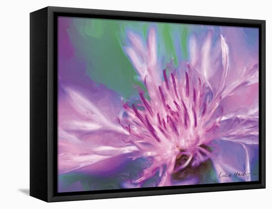 Painterly Flower VIII-Lola Henry-Framed Stretched Canvas