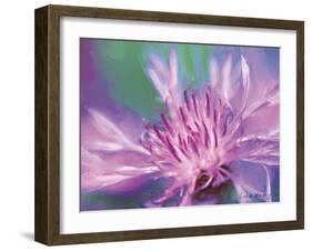 Painterly Flower VIII-Lola Henry-Framed Photographic Print