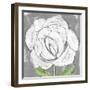 Painterly Garden - Bloom-Belle Poesia-Framed Giclee Print