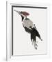 Painterly Perch - Calm-Maja Gunnarsdottir-Framed Giclee Print