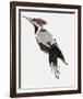 Painterly Perch - Calm-Maja Gunnarsdottir-Framed Giclee Print