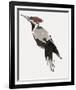 Painterly Perch - Calm-Maja Gunnarsdottir-Framed Giclee Print