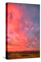 Painterly Sky at Sunset, Central California-null-Stretched Canvas