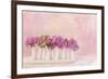 Painterly Textured Flower Still Life on Old Wooden Board-Anyka-Framed Photographic Print