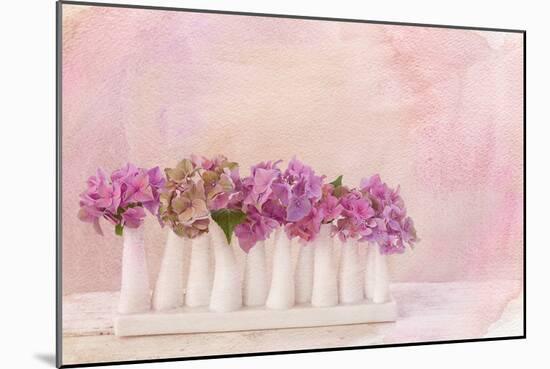 Painterly Textured Flower Still Life on Old Wooden Board-Anyka-Mounted Photographic Print