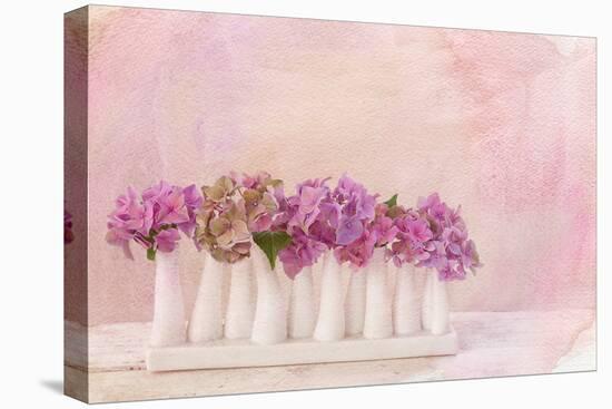 Painterly Textured Flower Still Life on Old Wooden Board-Anyka-Stretched Canvas