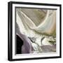 Painterly Variations 2-THE Studio-Framed Giclee Print