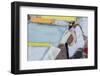 Painting Backgrounds-Proehl Studios-Framed Photographic Print