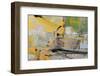 Painting Backgrounds-Proehl Studios-Framed Photographic Print