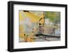 Painting Backgrounds-Proehl Studios-Framed Photographic Print