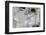 Painting Backgrounds-Proehl Studios-Framed Photographic Print