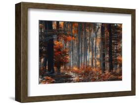 Painting Forest-Ildiko Neer-Framed Photographic Print