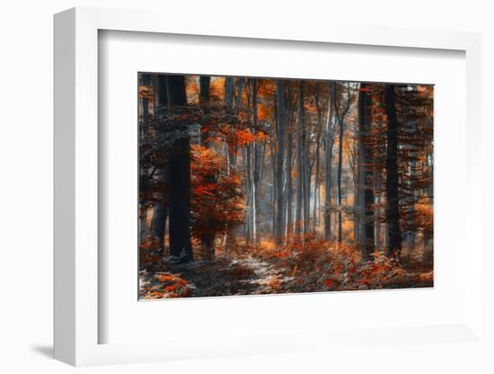 Painting Forest-Ildiko Neer-Framed Photographic Print