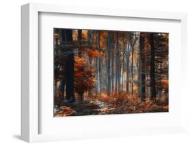 Painting Forest-Ildiko Neer-Framed Photographic Print