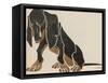 Painting in Black and Brown Colours of a Sitting Dachshund Gazing-L. Rohlwein-Framed Stretched Canvas