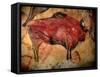 Painting in the Cave of Altamira, 35,000 to 11,000 Bc-null-Framed Stretched Canvas