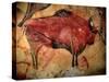 Painting in the Cave of Altamira, 35,000 to 11,000 Bc-null-Stretched Canvas