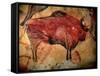 Painting in the Cave of Altamira, 35,000 to 11,000 Bc-null-Framed Stretched Canvas