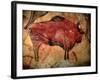 Painting in the Cave of Altamira, 35,000 to 11,000 Bc-null-Framed Giclee Print