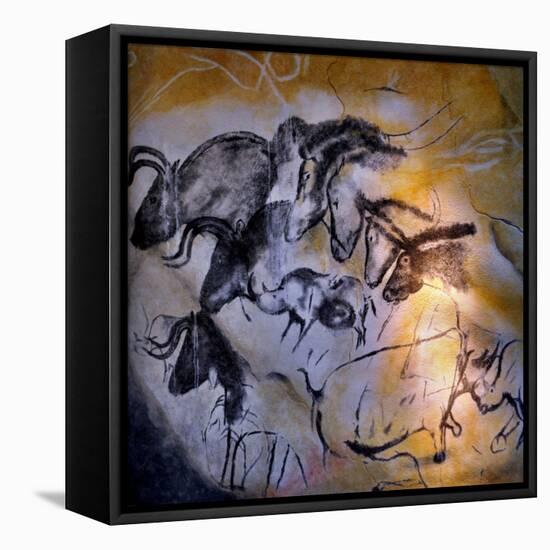 Painting in the Chauvet Cave, 32,000-30,000 Bc-null-Framed Stretched Canvas