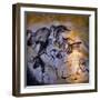 Painting in the Chauvet Cave, 32,000-30,000 Bc-null-Framed Premium Giclee Print