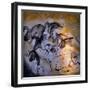 Painting in the Chauvet Cave, 32,000-30,000 Bc-null-Framed Premium Giclee Print