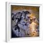 Painting in the Chauvet Cave, 32,000-30,000 Bc-null-Framed Premium Giclee Print